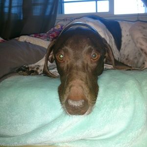 Meet your Posher, Miranda